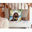 Coussin décoratif intérieur / extérieur Autre / Sans motif-99813178