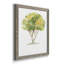 L'arbre I - ensemble de 4 reproductions d'art encadrées-1506622942-1496819695-1496819694