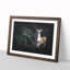 Curious Fawn - Framed Print-56916753-56916756