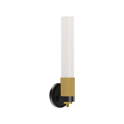 Rue Steel Armed Sconce