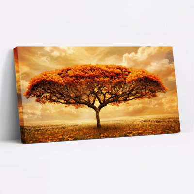 Ensemble de 1 tableau sur toile tendue représentant un paysage d'arbres d'automne