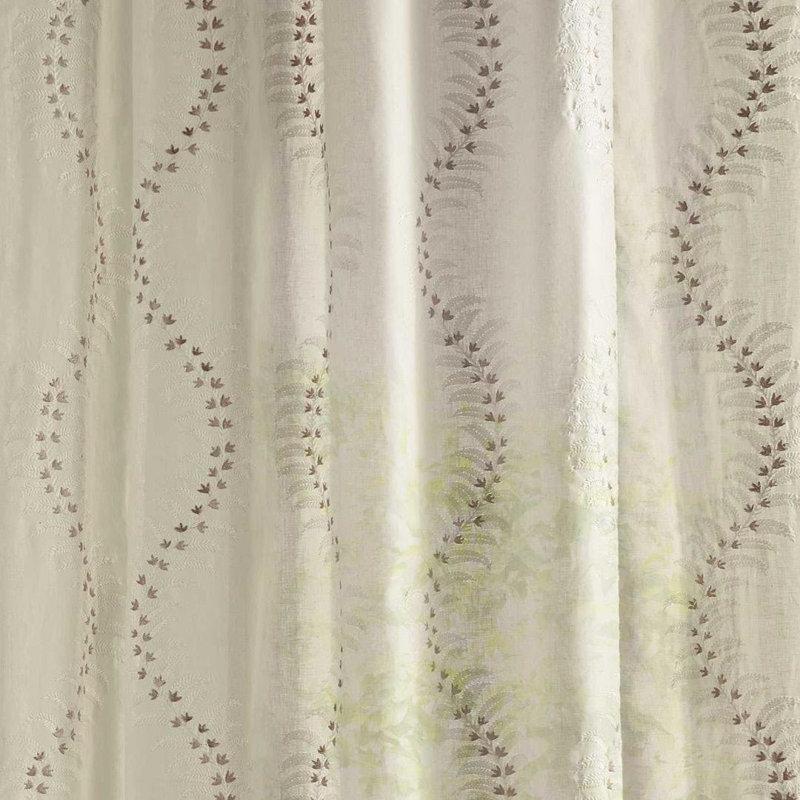 Aristotles Lantern Seasalt