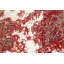 One-of-a-Kind 4'1" X 6'4" New Age Area Rug in