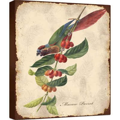 " Vintage Bird Study H "