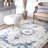 Juliea Distressed Medallion Oriental Power Loom Performance Rug-2118190166