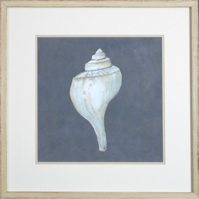 «Shell on Slate IV» par Meagher - Reproduction de photo encadrée sur papier