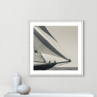 Amaryl «Catching the Sea Breeze» par Danita Delimont - photographie au cadre