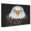 Bald Eagle Bird - Wrapped Canvas Painting-56657546