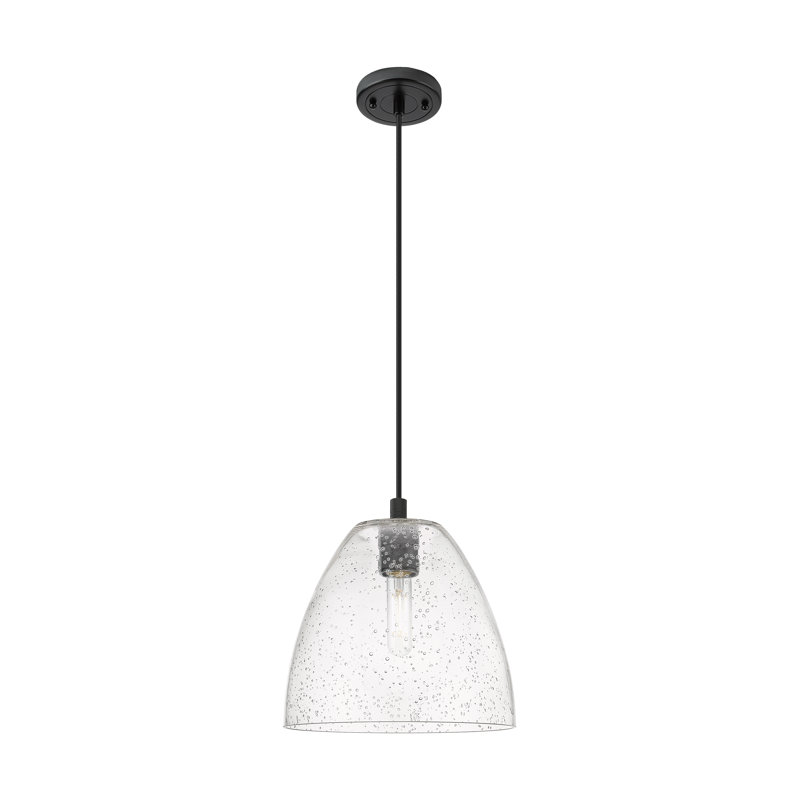 Kehlani - Luminaire suspendu à cordon 1 lumière Bristol, Noir mat, H 128,75 po x l 9 po x P 9 po