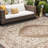 Areonna Sophie Oriental Brown Indoor / Outdoor Area Rug-907222912