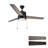 Dulac 52'' Ceiling Fan with LED Lights-1753558398