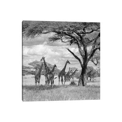 The Tower! by Ali Khataw - Wrapped Canvas Print