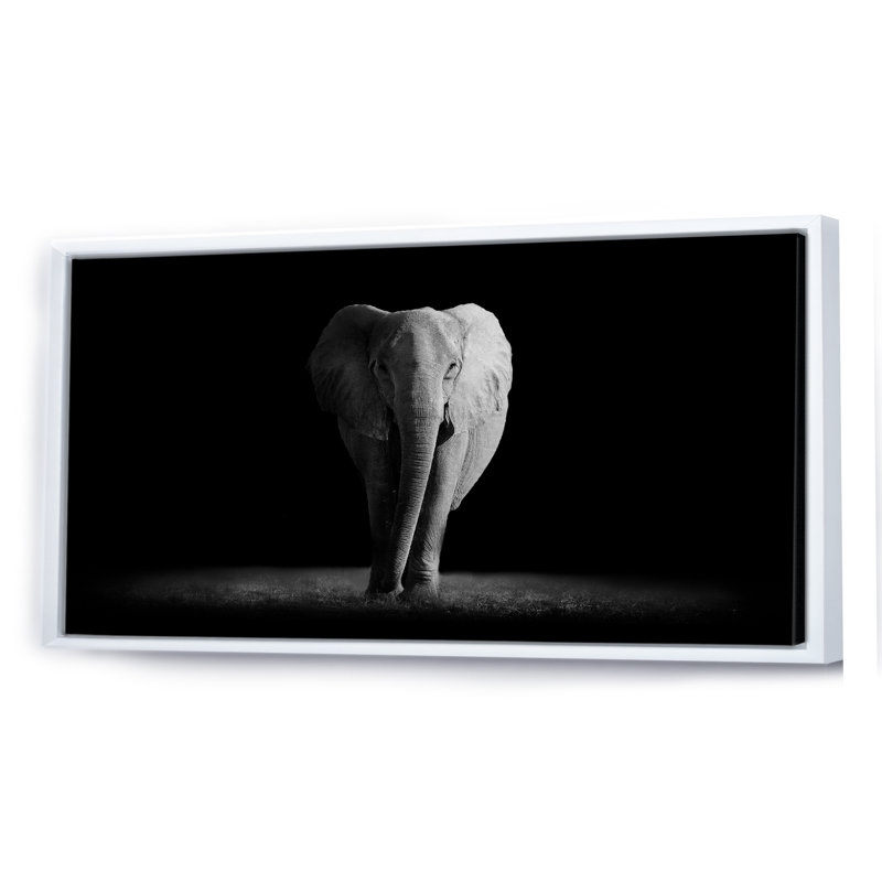 Éléphants en noir et blanc II, Cadre blanc, H 30 po x l 40 po x P 1,5 po