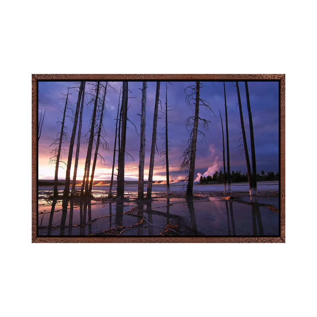 Dead Trees In Lower Geyser Basin At Sunset, Yellowstone National Park, Wyoming by Tim Fitzharris - Gallery-Wrapped Canvas Giclée on Canvas