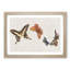 Four Butterflies by Fujishima Takeji - Framed Print-55577729-55577730