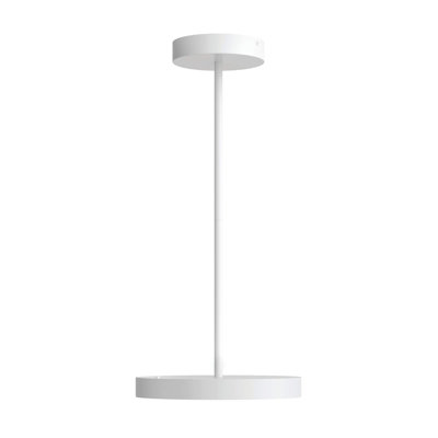 Pepin 12 Inch 2-in-1 Flush Mount and Pendant