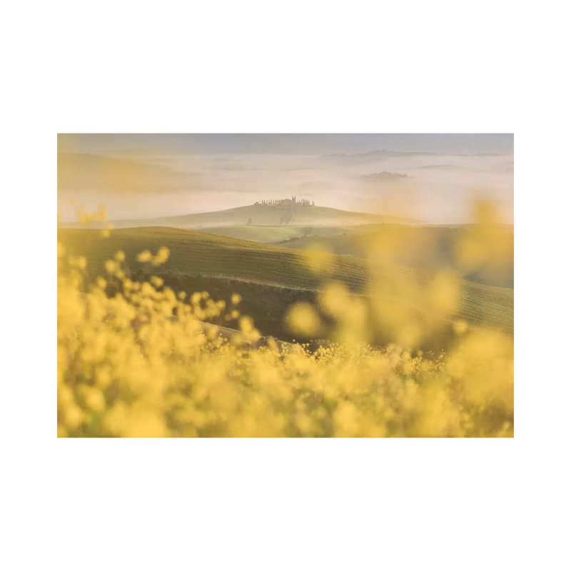 Spring In Tuscany IV by Daniel Kordan - Wrapped Canvas Print, 20.32 cm H x 30.48 cm W