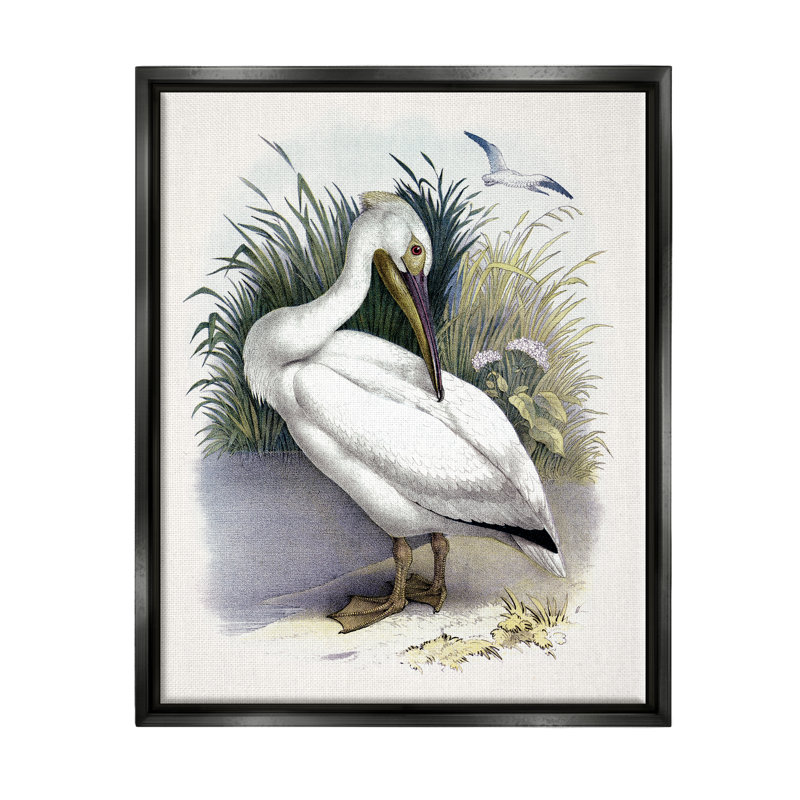 Pélican blanc qui se blottit sur le rivage de Grassy par Piddi - peinture à cadre flottant, H 21 po x l 17 po x P 1,5 po