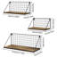 Mankin 3 Piece Floating Shelf