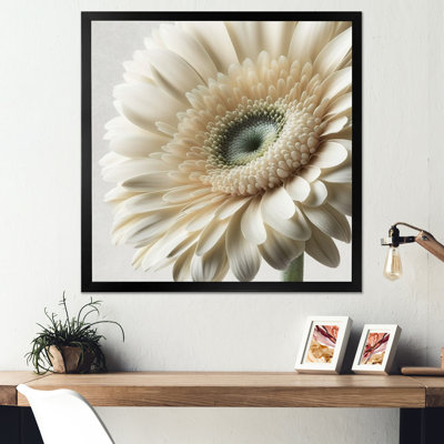 Gerbera blanche III - art mural Gerbera