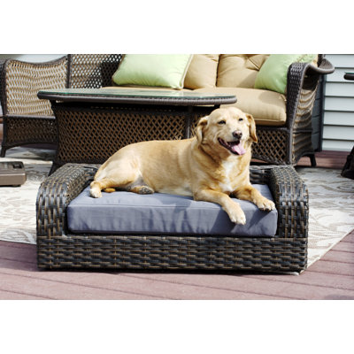 Tucker Murphy Pet™ Pastrana Rattan Dog Sofa & Reviews | Wayfair