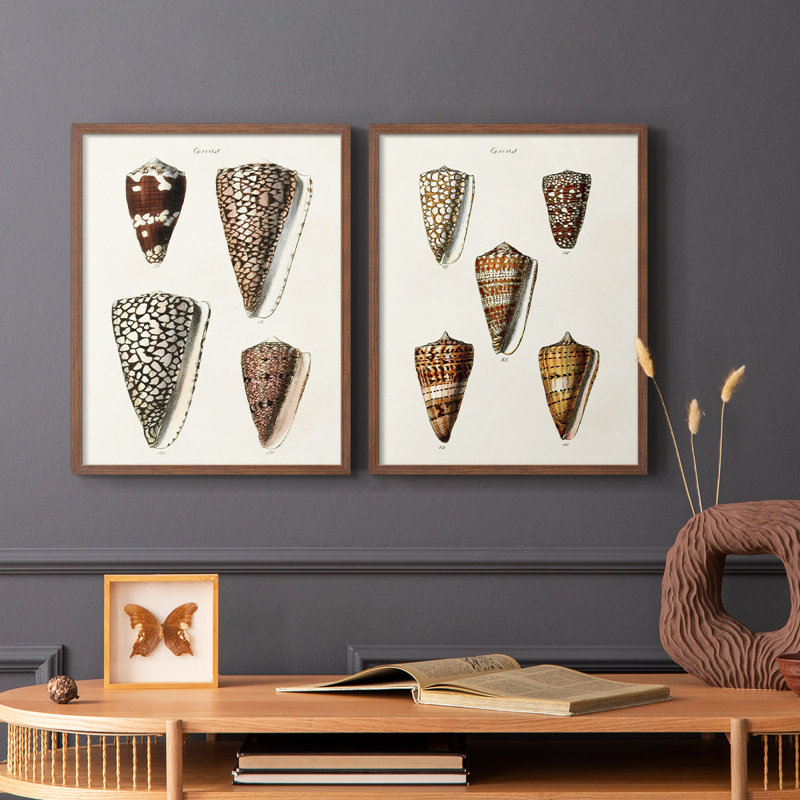 Impression encadrée de qualité supérieure Cone Shell - prêt à être accroché - aucun clou requis - aucun clou requis, Noyer