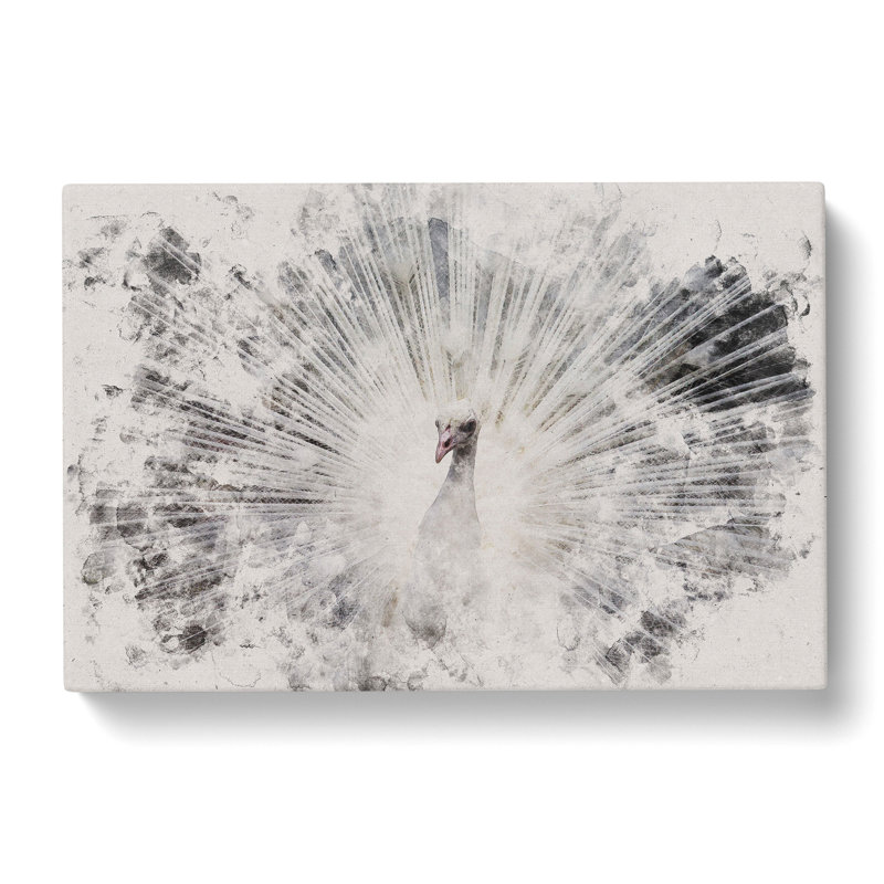 White Peacock Watercolour - Wrapped Canvas, 35cm H x 50cm W x 3cm D