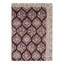 Oriental Area Rug in Red