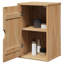 Arjin Bathroom Cabinet