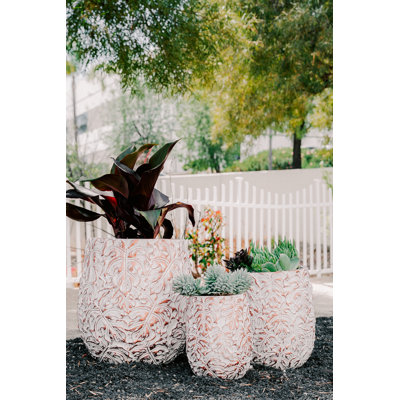 Ensemble de 3 pots de fleurs pour l'intérieur et l'extérieur en fibre de ciment / ciment H 19,3 po, 15,4 po et 12,2 po Trixie
