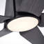 Akhavi Ceiling Fan with LED Lights-713637876