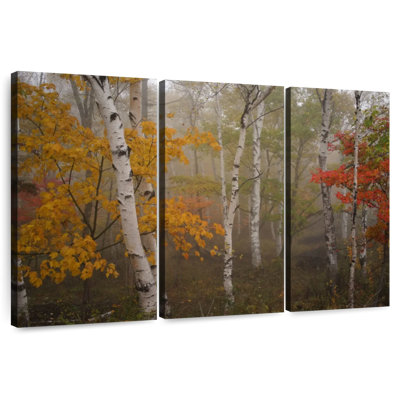 Alvord Autumn Birch Forest