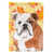 Bouledogue anglais blanc / brun