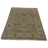 Oriental Area Rug in Blue