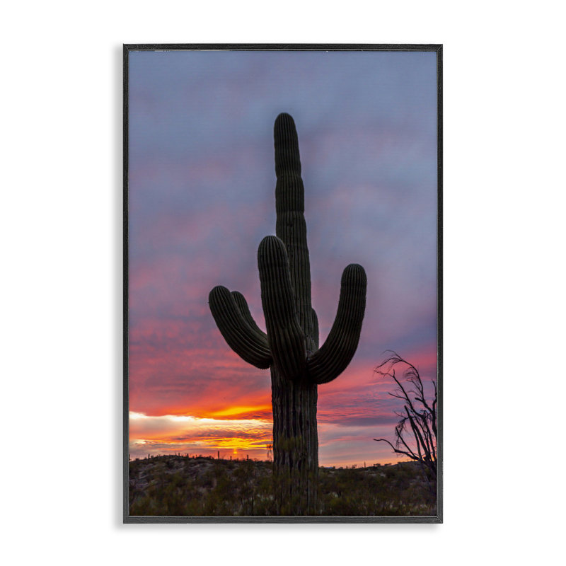 Cactus de l'Arizona au coucher du soleil, estampe numérique, conception par Jeff Poe, H 30 po x l 20 po