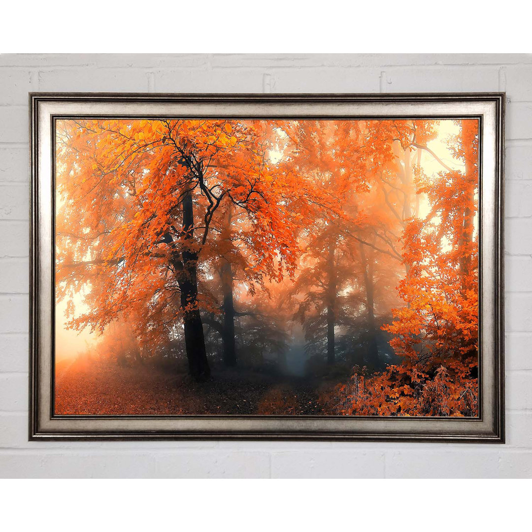 Herbst Orange Mist - Einzelner Bilderrahmen Kunstdrucke