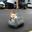 Lits pour chien Dredon