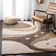 Kerio Shag Performance Abstract Rug