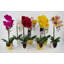 Faux Plant in Pot Liner-101685221-114283647