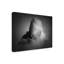 Art sur toile «bolins»-109226480