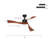 42" Quiet Ceiling Fan With Bluetooth App, Reversible Motor & LED Lighting