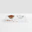Plateau d'alimentation transparent-1548822374-1483076005