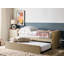 Baskin Upholstered Velvet Daybed with Trundle Bed-696839780