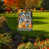 Blue/Orange Fall