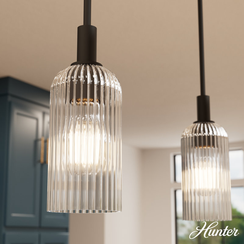 Hunter x Jasmine Roth Beverly Glen 1 Light Pendant Ceiling Light Fixture, Clear, Matte Black