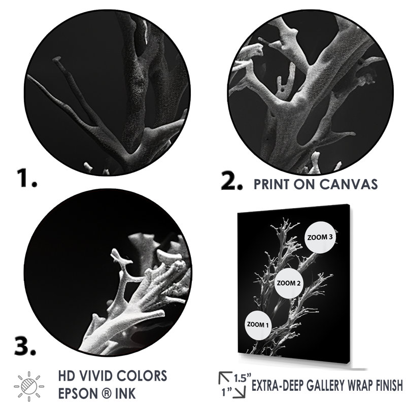 «Black and White Coral Plant - Beach & Ocean», reproduction sur toile, Toile tendue, H 20 po x l 12 po x P 1 po
