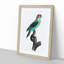A Musk Lorikeet by F. Levaillant - Framed Print-55453404-55453402