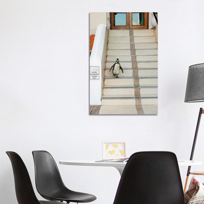 Black-Footed Penguin Descending Stairs, Boulders Beach, Cape Peninsula, South Africa by Kevin Schafer - Wrapped Canvas Print