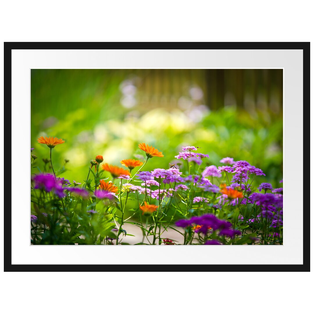 Gerahmtes Poster Blumenwiese