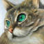 Décoration de chambre à coucher Peaceful Cat Portrait - hyperréaliste brun-119178597